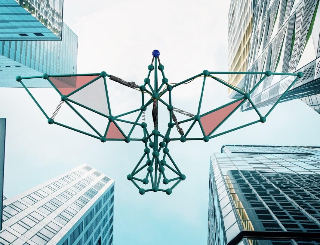 EXPO: пространственный дизайн и&nbsp;застройка